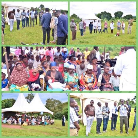 PhotoGrid_1574189231293