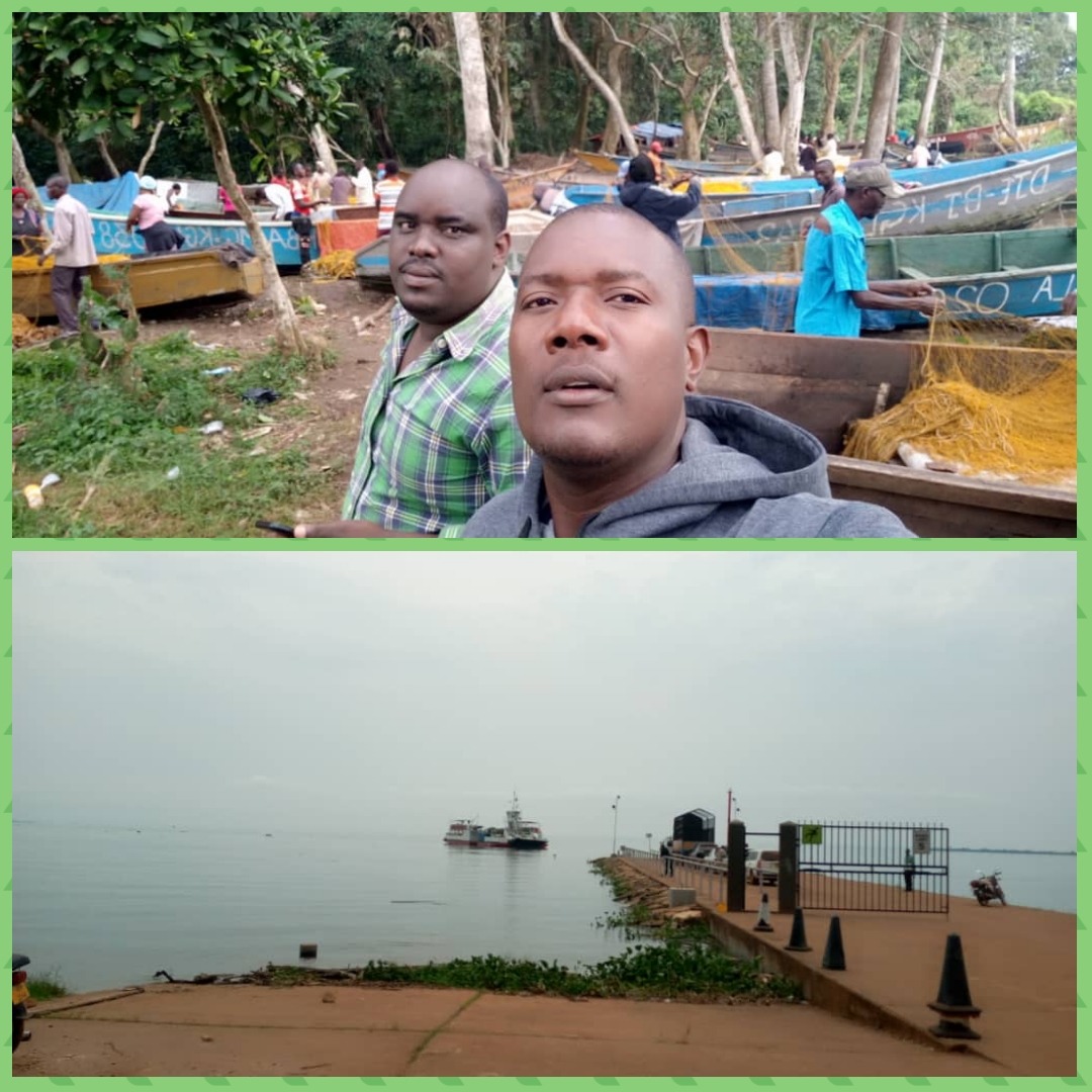 WhatsApp Image 2020-04-08 at 11.34.44 (1)