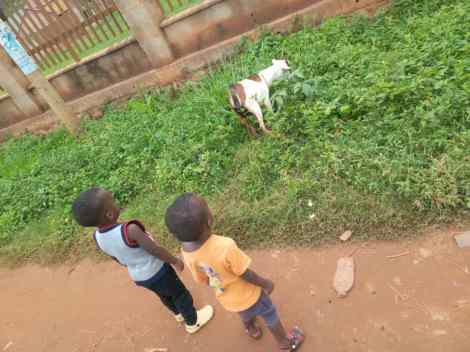 WhatsApp Image 2020-04-22 at 15.08.58